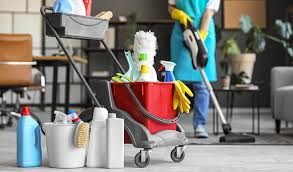 CLeaning Regular Service